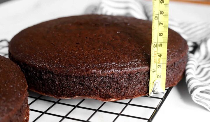 best moist chocolate cake layers showing height after baking