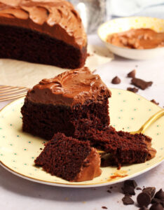 ONE Bowl Easy Chocolate Cake Recipe - Scientifically Sweet