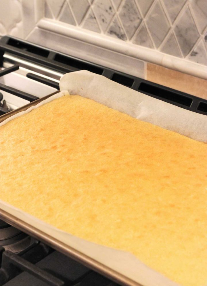 vanilla sponge cake swiss roll after baking