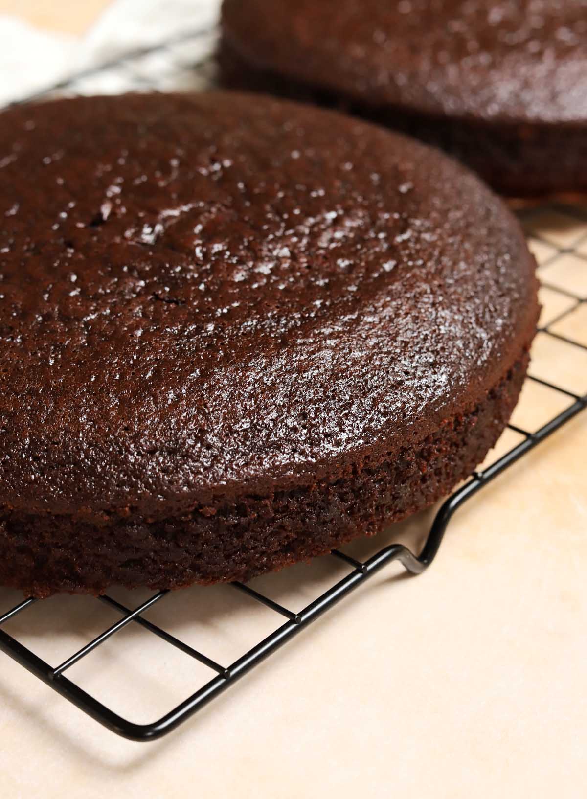 angle view of perfect chocolate cake layer from homemade chocolate cake mix showing moist crumb
