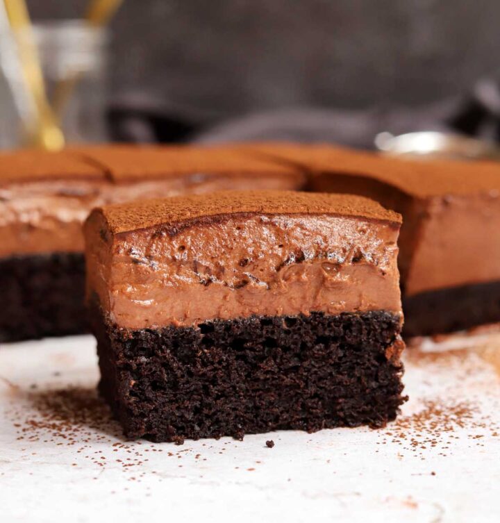 side view of side view of chocolate mousse cake slice