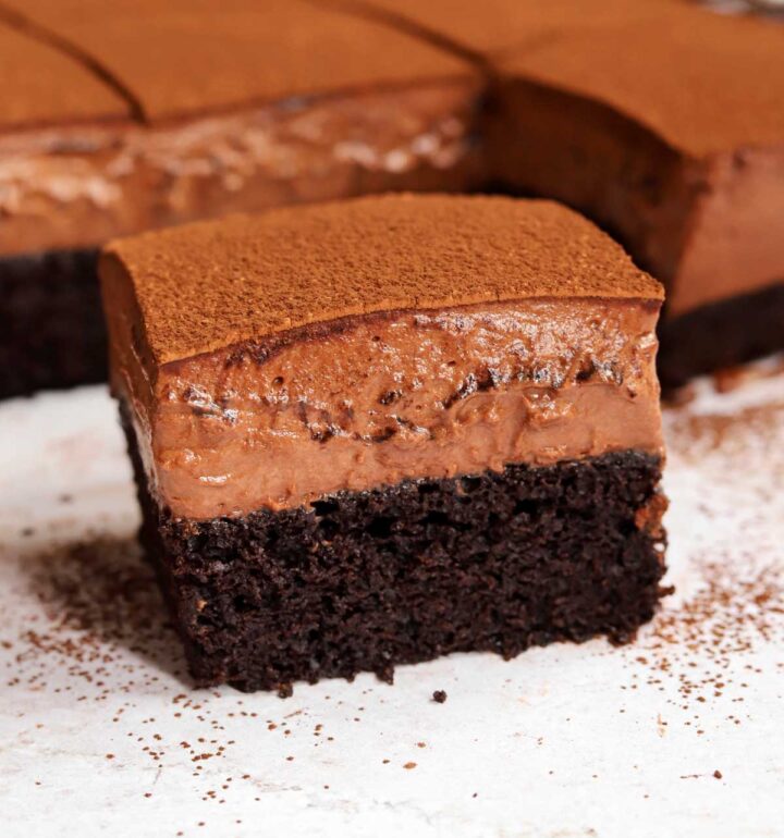 side view of side view of chocolate mousse cake slice