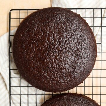 homemade chocolate cake mix