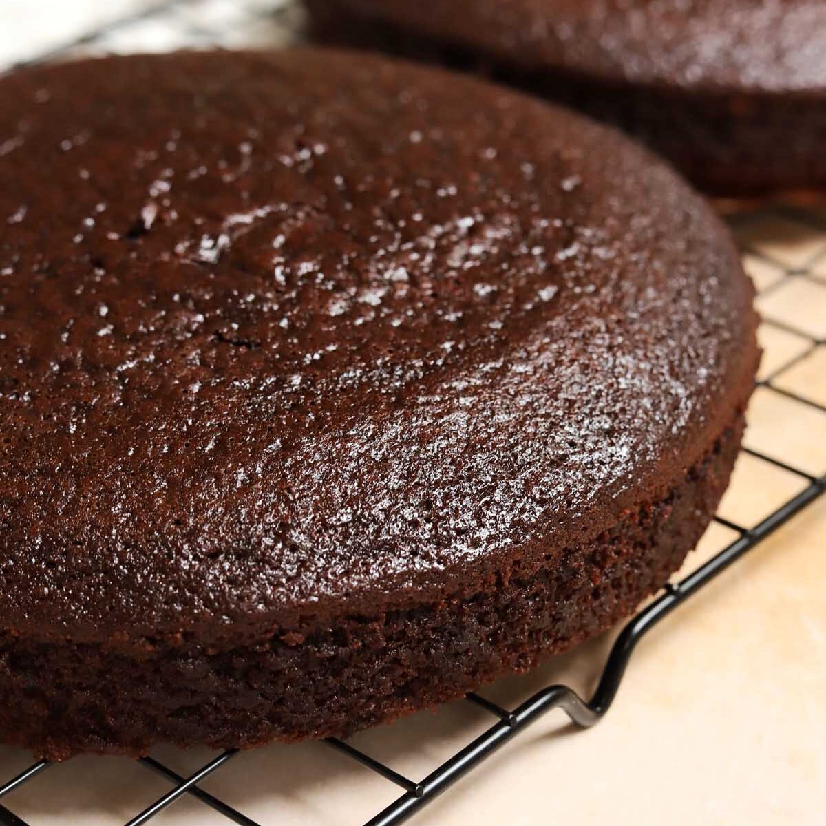 angle view of perfect chocolate cake layer from homemade chocolate cake mix showing moist crumb