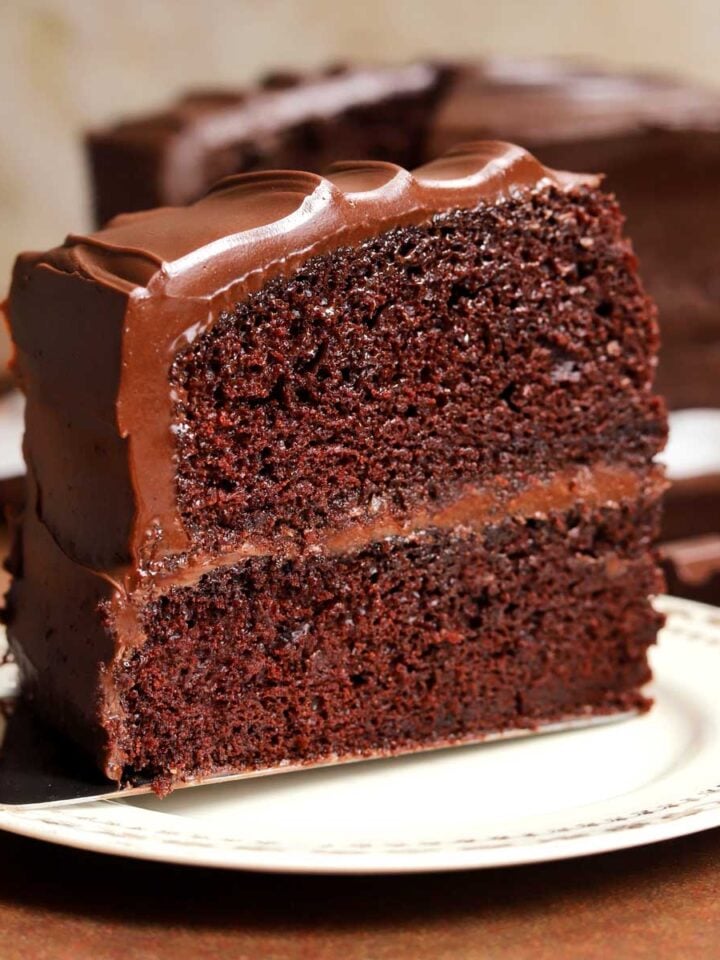 ONE Bowl Easy Chocolate Cake Recipe - Scientifically Sweet