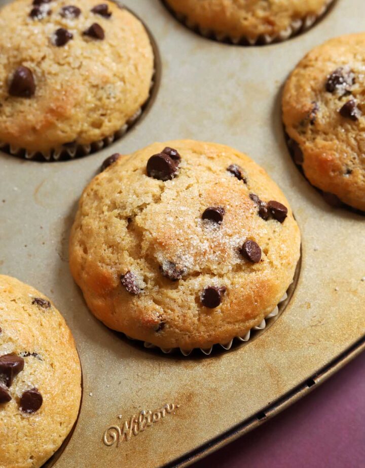 healthy Greek yogurt chocolate chip muffins in muffin pan after baking