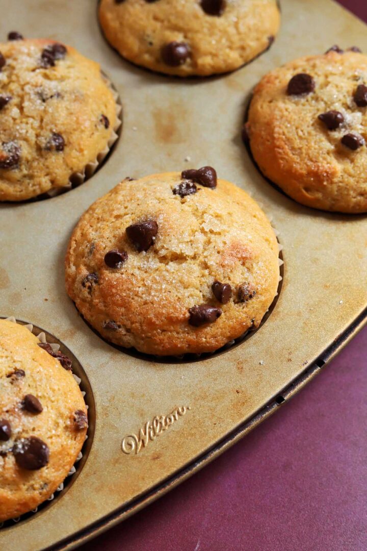 healthy Greek yogurt chocolate chip muffins in muffin pan after baking