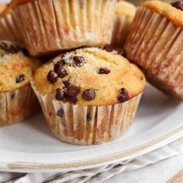 healthy greek yogurt chocolate chip muffins