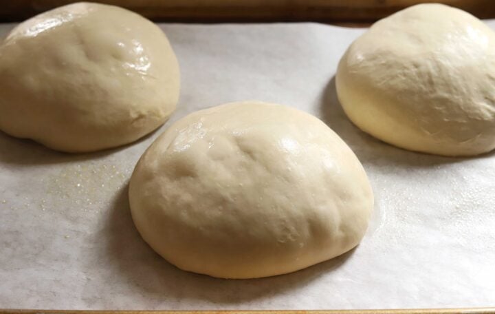 balls of homemade pizza dough after proofing