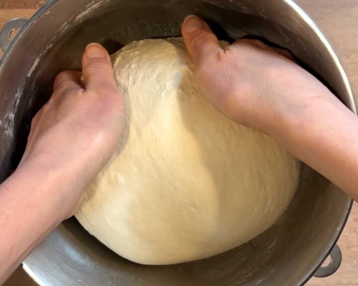 Transfer to a clean, oiled bowl and cover to let rise until doubled in volume.
