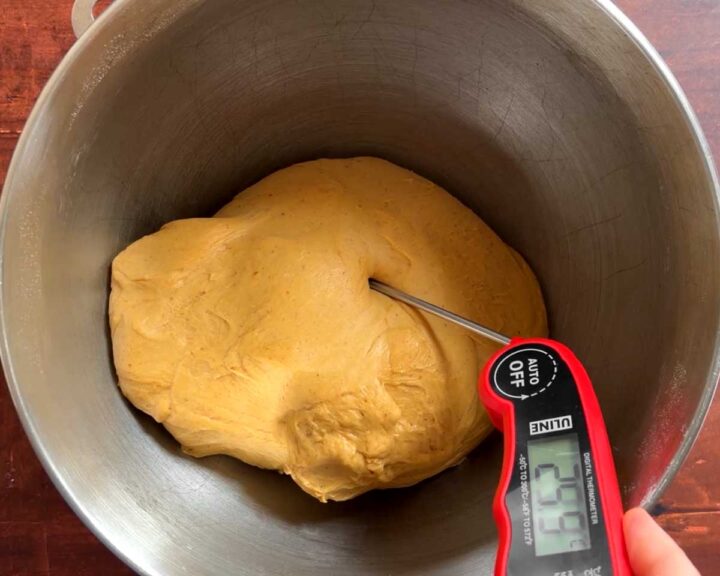 Place the dough into a bowl to rise in a warm place. Lightly oil the surface and cover it.
