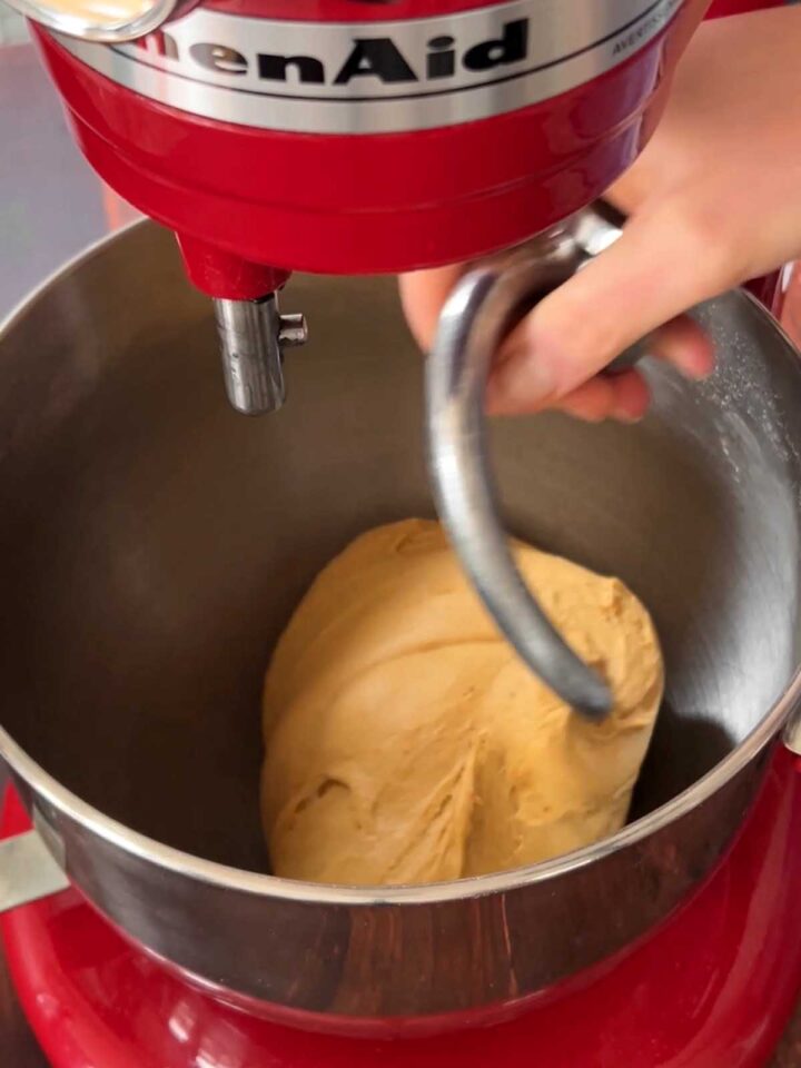Mix with dough hook until ingredients are blended and dough forms.