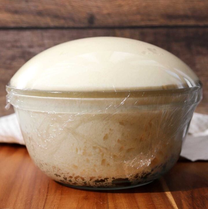 homemade dinner roll dough after bulk fermentation rising in glass bowl
