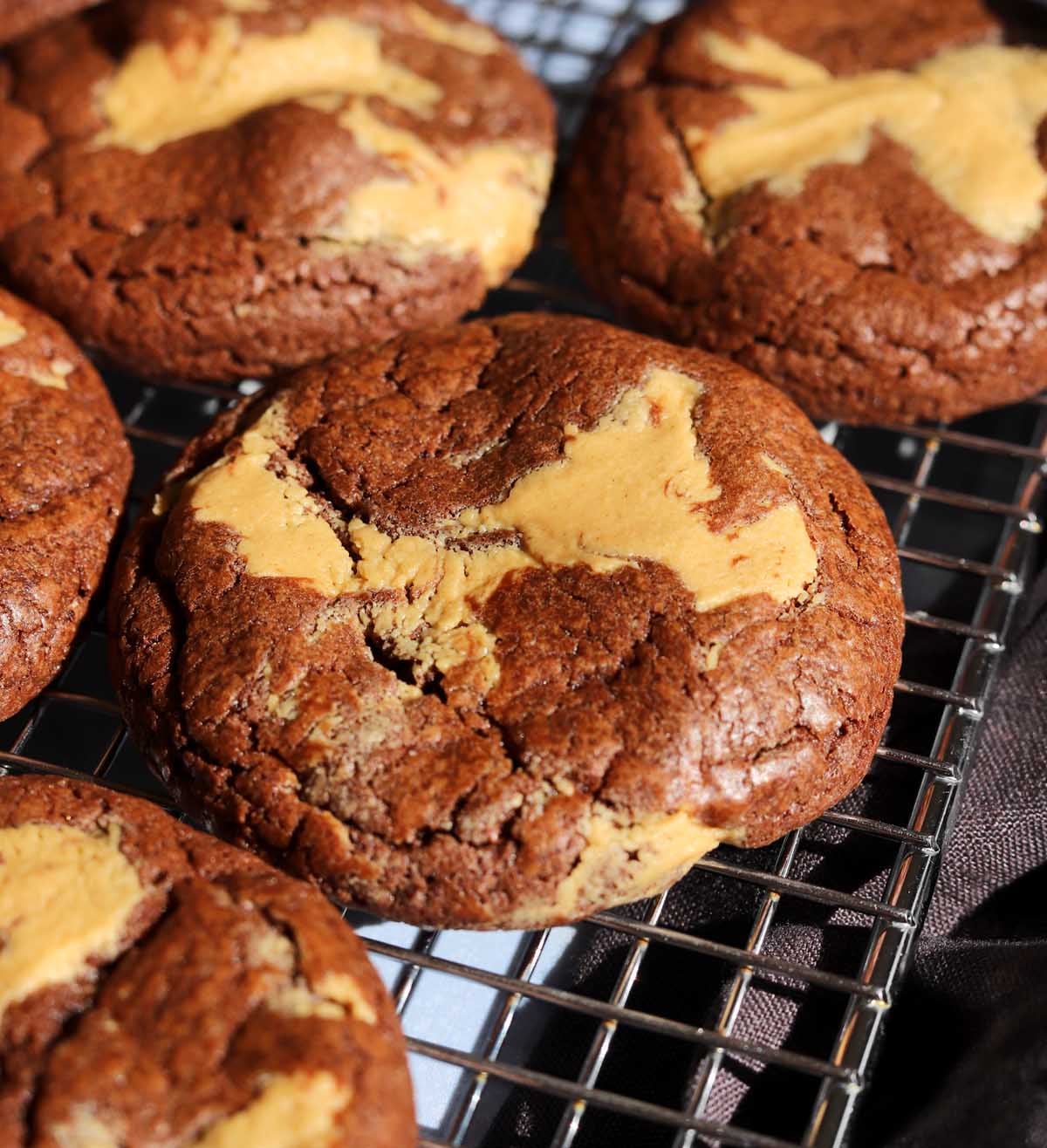 SOFT Chocolate Peanut Butter Fudge Cookies - Scientifically Sweet