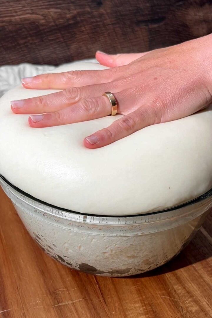 Let the dough proof until tripled in size.