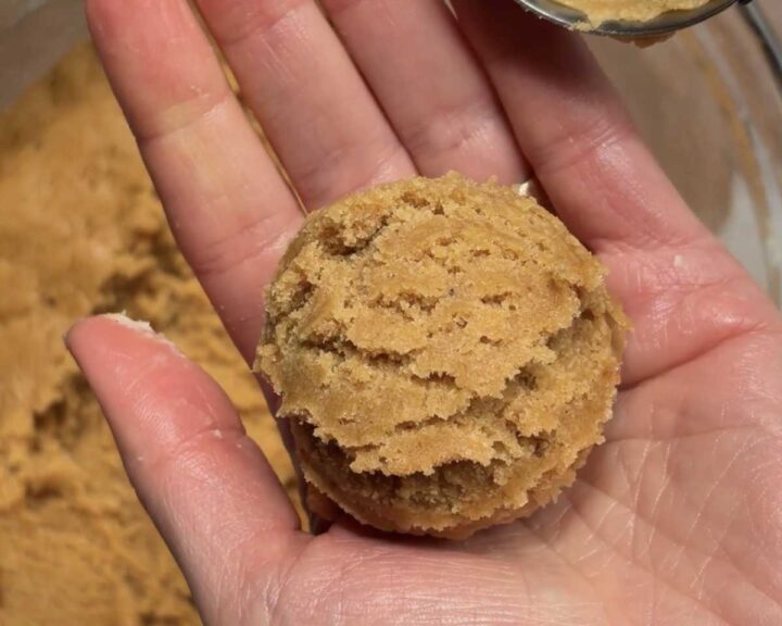 Roll stuffed dough into smooth balls.